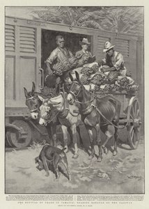 ジャマイカの貿易の復活、鉄道にバナナを搭載 作： William T. Maud